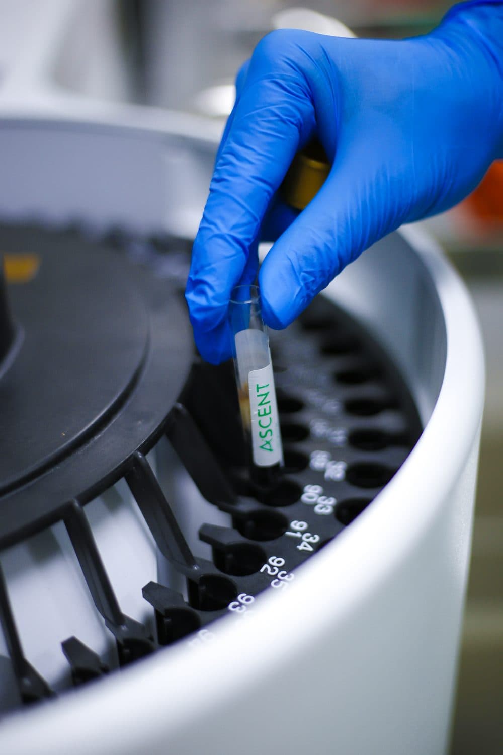 An Ascent Health sample tube being loaded into the analyser at the in-house laboratory